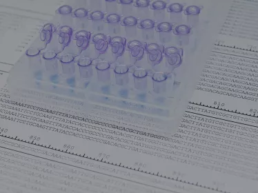 ADN - DNA - Institut Pasteur