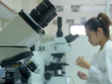  Laboratoire Institut Pasteur du Cambodge 