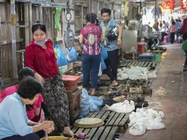 Marché aux volailles d'Orussey - Institut Pasteur du Cambodge