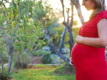 Zika : une estimation précise des risques neurologiques chez les enfants à naître