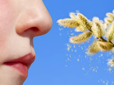 institut pasteur - allergies