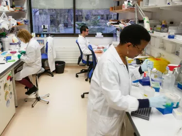Dans le laboratoire Microenvironnement et immunité - Institut Pasteur