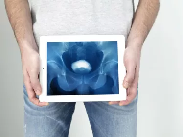 vessie - bladder - institut pasteur