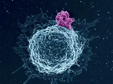MOOC HIV SCIENCE - Institut Pasteur