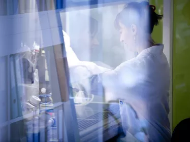 CNR Grippe - Institut Pasteur
