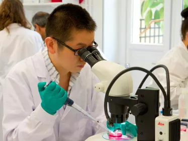 Doctoral and Post-Doctroral Institut Pasteur