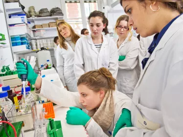  Arthropod-borne viruses in the Mediterranean and Black Sea regions: a global picture