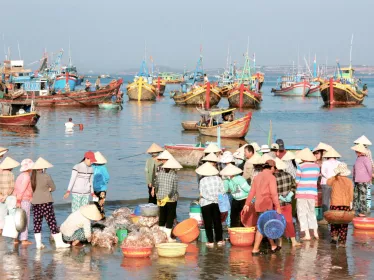 Recommandations - Préparer son voyage au Vietnam - Institut Pasteur