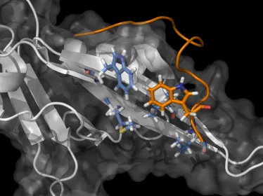 Cancer Initiative at Institut Pasteur