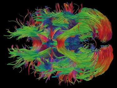 institut pasteur - neuroscience
