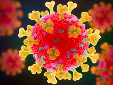 Coronavirus : toute l’actualité de l’Institut Pasteur sur COVID-19 - Institut Pasteur