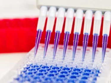 Réseau International des Instituts Pasteur : La stratégie scientifique collective s’intensifie 