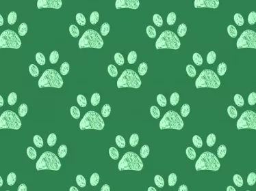 Cat Paw