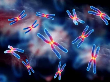 Développement sexuel - Institut Pasteur