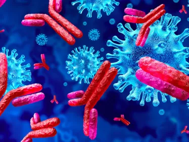 Covid-19 : pas d’immunité croisée conférée par d’autres coronavirus chez les enfants