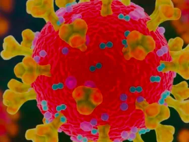 CORONAVIRUS SARS-COV-2 : LA MOBILISATION DE L'INSTITUT PASTEUR - INSTITUT PASTEUR