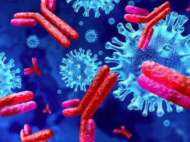 COVID-19: no cross-protective immunity conferred by other coronaviruses in children - Institut Pasteur