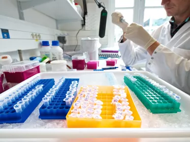 INNOVATION - Licensing Opportunities - Institut Pasteur