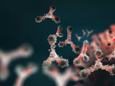 Covid-19 : la durée de la réponse immunitaire neutralisante plus longue chez les femmes que chez les hommes