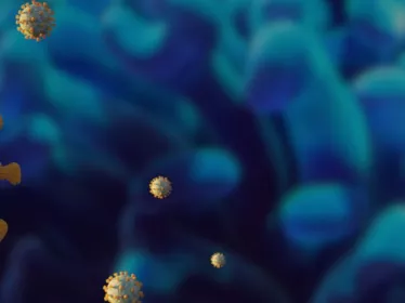 Coronavirus - Institut Pasteur
