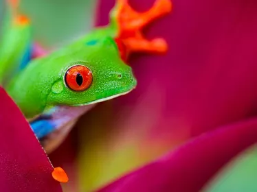 Photographie illustrative du Costa Rica 