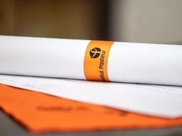 Diplome-InstitutPasteur
