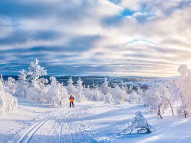 Photographie illustrative de Finlande, paysage enneigé