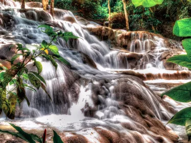 Photographie illustrative de la Jamaique - Chutes de la rivière Dunn 