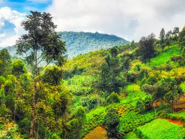Photographie illustrative, région rurale, Rwanda