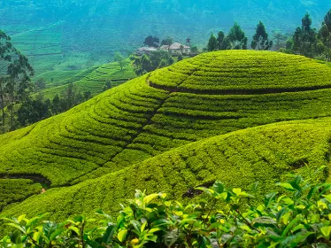 Photo illustrative du Sri Lanka