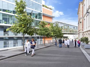 L’Institut Pasteur et MSDAVENIR signent un partenariat pour améliorer les stratégies de contrôle de la propagation des maladies virales à transmission vectorielle comme Zika