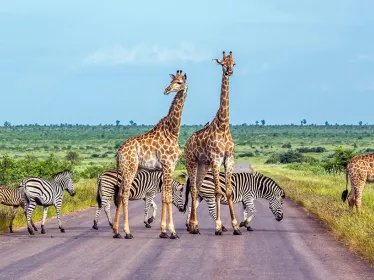 Photo illustrative - Mozambique