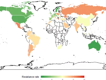 Vision mondiale des déterminants des résistances aux antibiotiques