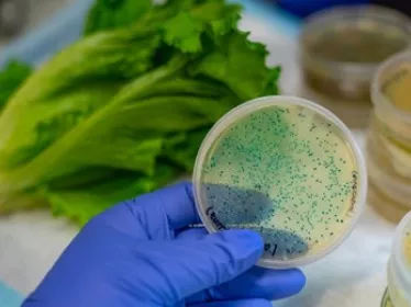 Comment le microbiome des voies respiratoires influence la gravité des pneumonies bactériennes