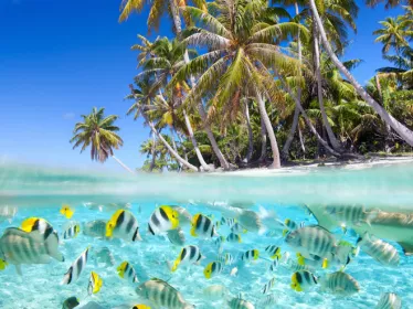 Photo illustrative Maldives