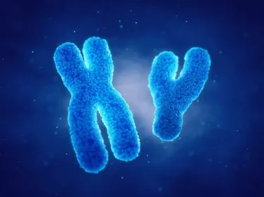 Chromosomes 