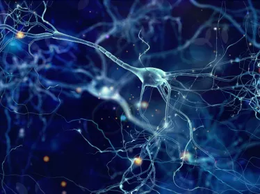 Neurones - Institut Pasteur