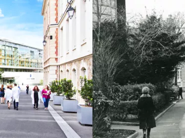 La campus de l'Institut Pasteur à Paris vu du ciel