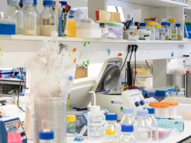 photo d'illustration - Un laboratoire à l'Institut Pasteur
