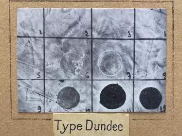 Détermination du lysotype Dundee pour une souche de Salmonella enterica sérotype Paratyphi B © François-Xavier Weill, Institut Pasteur