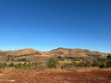 Institut Pasteur - Madagascar
