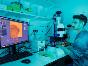 Reportage dans l'unité Mort cellulaire et homéostasie des épithéliums (Institut Pasteur, Paris)