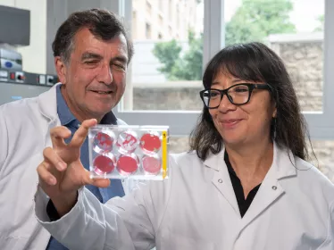 Arnaud Fontanet, responsable de l'unité de recherche et d’expertise en épidémiologie des maladies émergentes et Anna-Bella Failloux, responsable de l'unité Arbovirus et Insectes Vecteurs