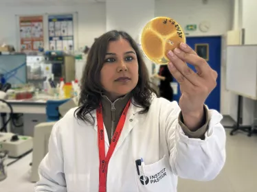 Travaux pratiques Cours Pasteur Mycologie Médicale