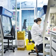 Photographie dans un laboratoire d'un Centre National de Référence (CNR)