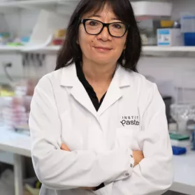 Annabella Failloux, chercheuse à l'Institut Pasteur