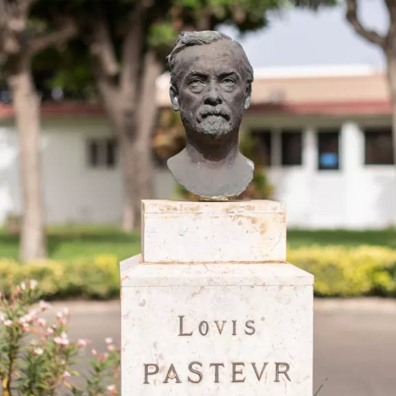 Reportage à l'Institut Pasteur de Dakar en juin 2019. Buste de Louis Pasteur dans les jardins.