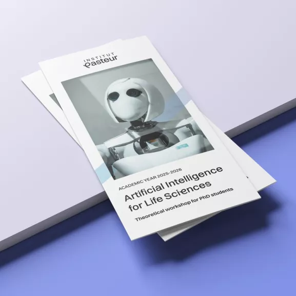 brochure formation pour les doctorants