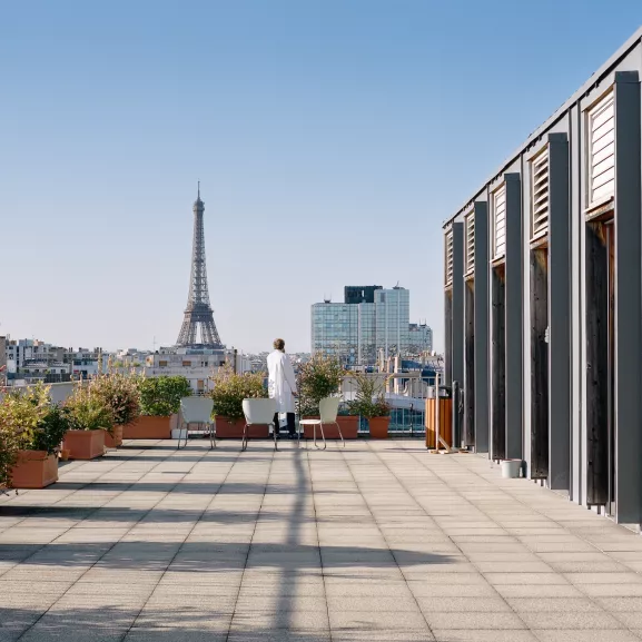 vue depuis la terrasse du bâtiment François Jacob