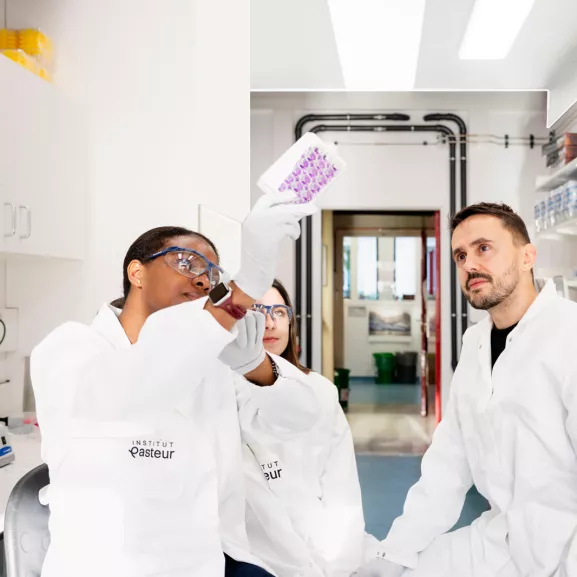 Institut Pasteur